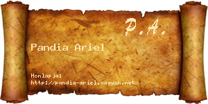 Pandia Ariel névjegykártya